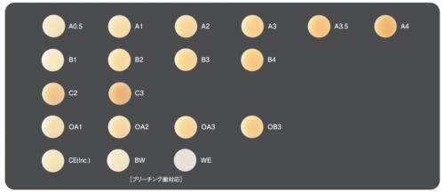 エステライトσクイック-各種